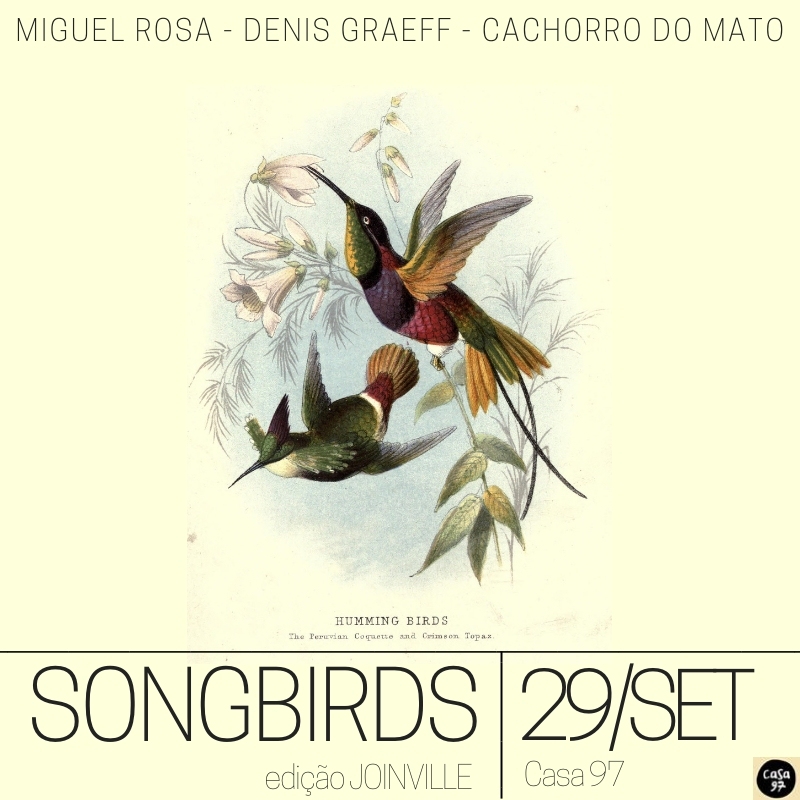 songbirds-joinville-cartaz